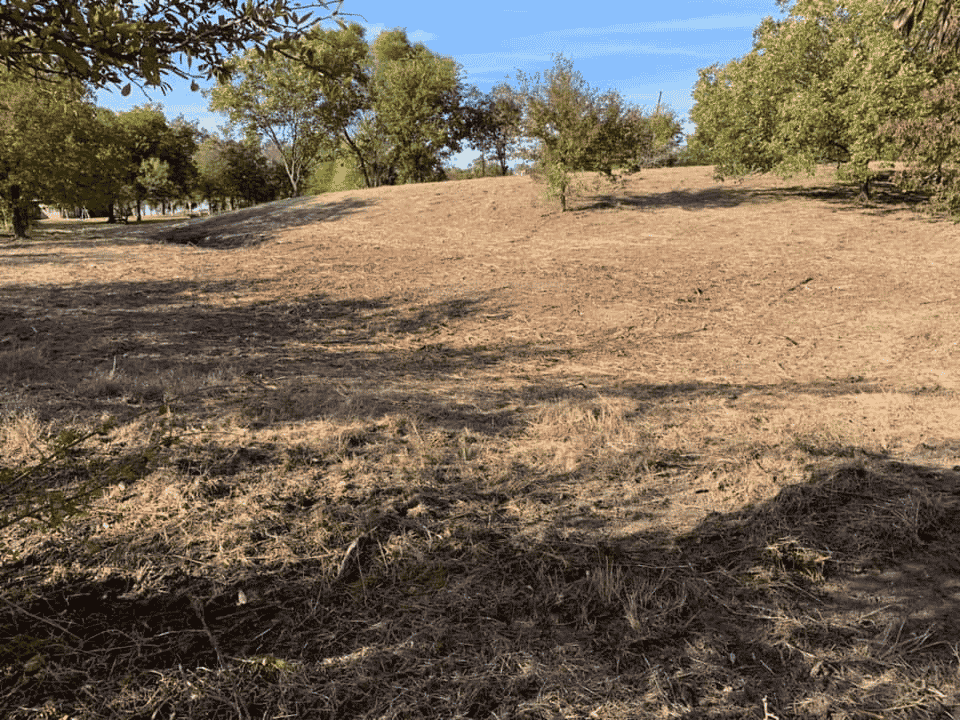 Liberty Hill Land Clearing