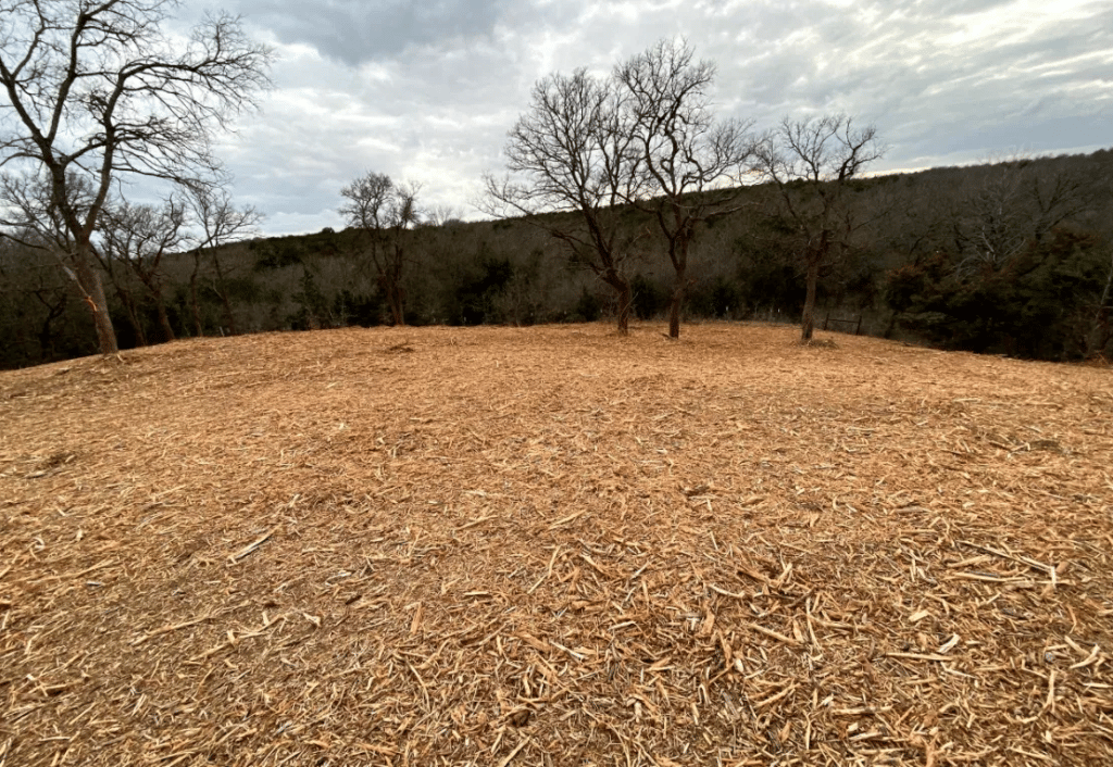 Georgetown, Texas Land and Lot Clearing