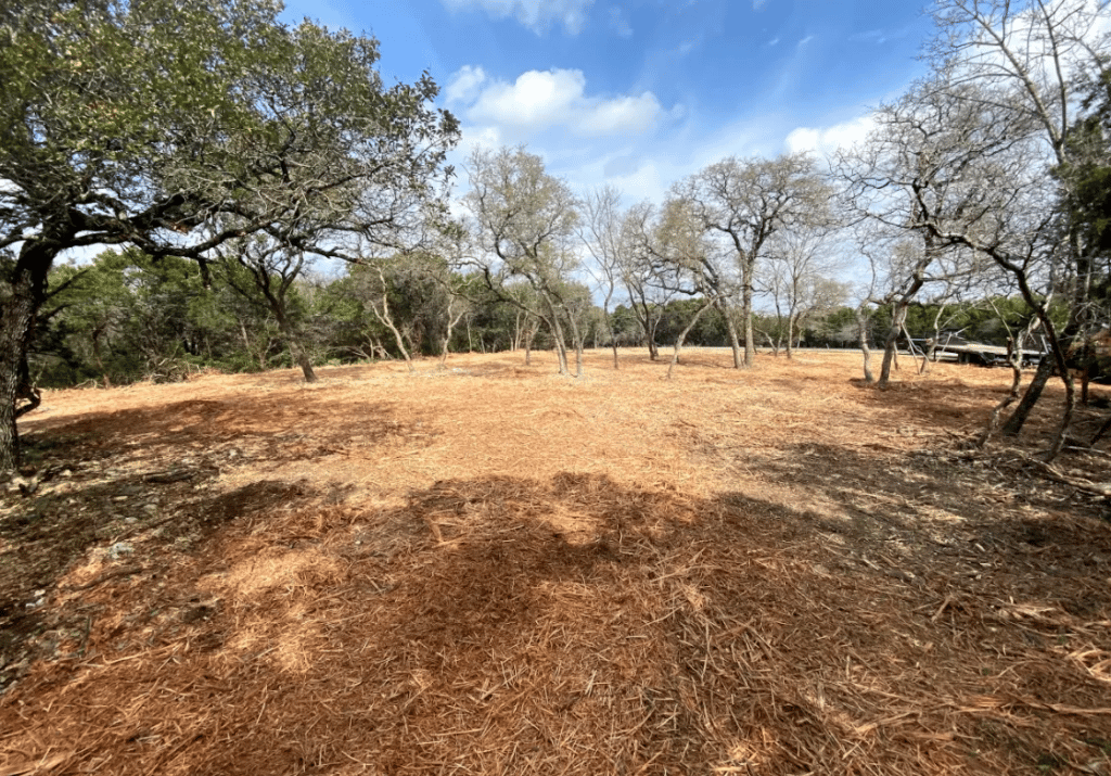 land clearing in mcgregor